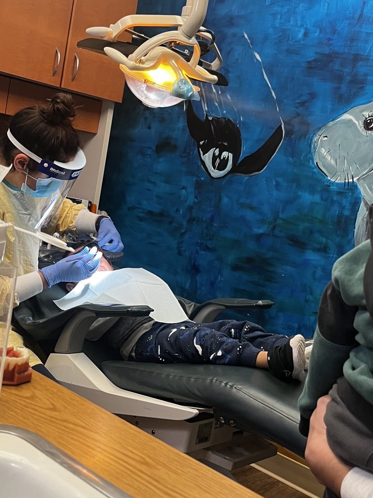 image of business Sunny Smiles Dentistry