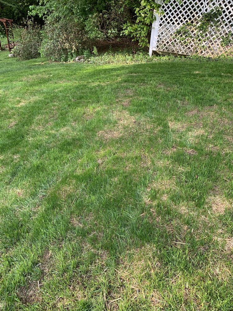 Paramo Landscaping