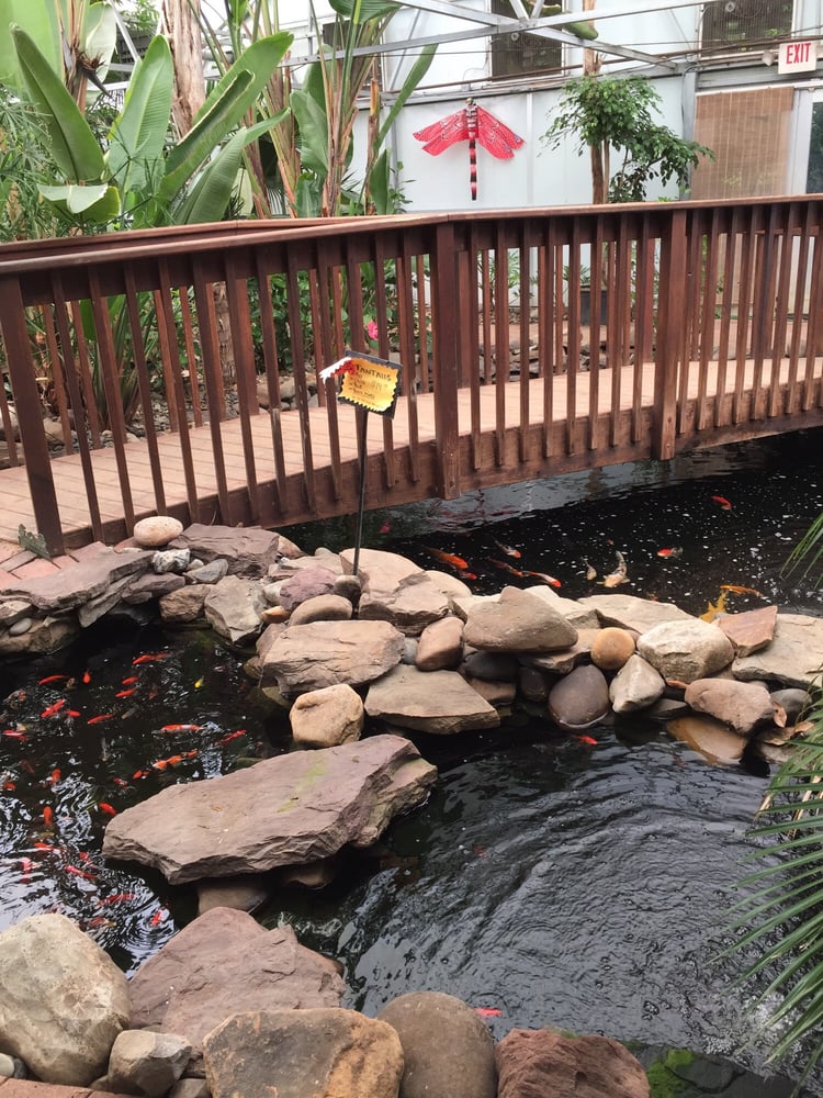 Tropic Bay Water Gardens