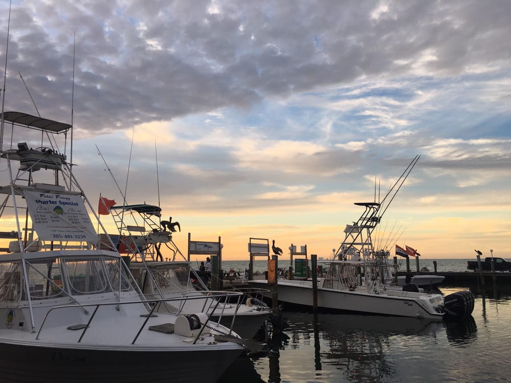 Keys Fisheries Market & Marina 442 Photos & 454 Reviews Seafood Markets 3502 Gulfview Ave