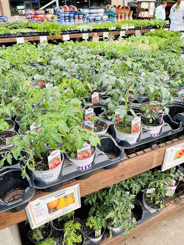 Green Acres Nursery & Supply