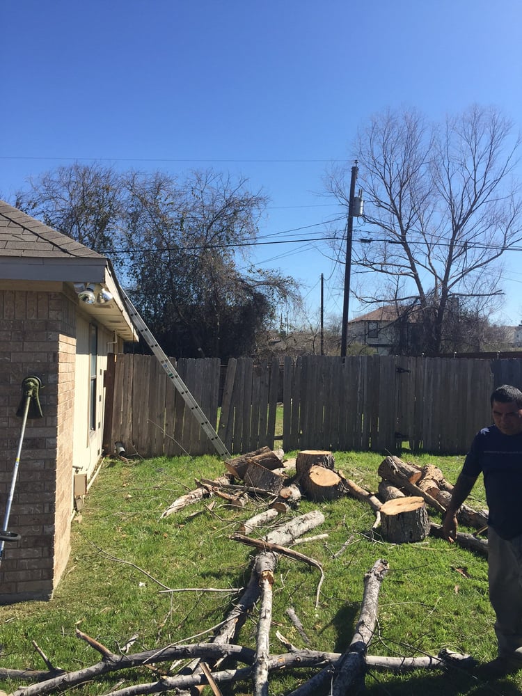 Yanez Tree Services