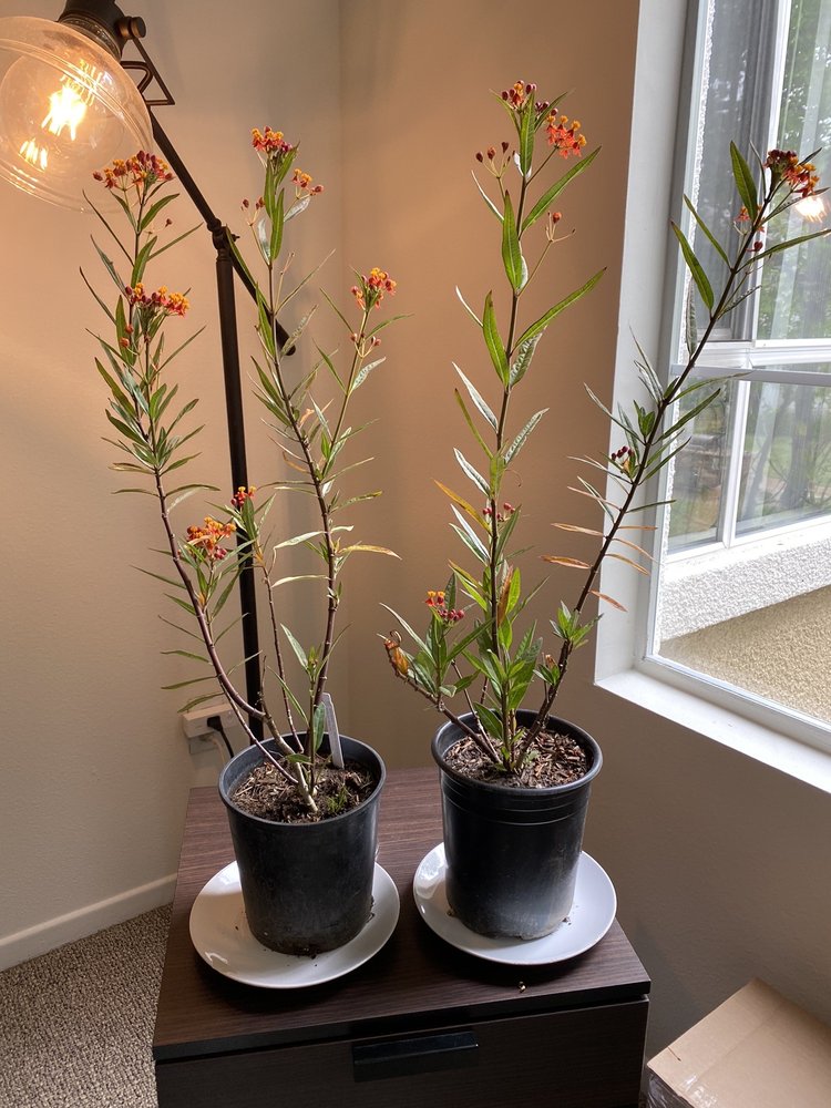 C & S Nursery