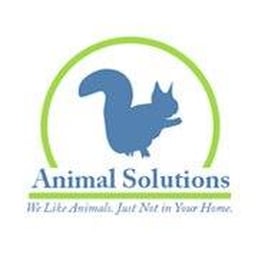 animal solutions 11 foto servizi per animali domestici animal solutions 11 foto servizi per animali domestici