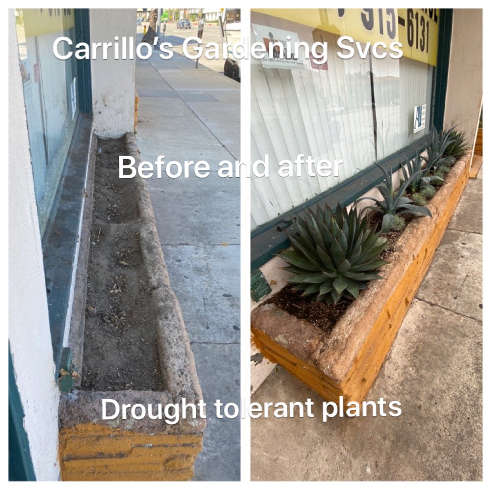 Carrillos Gardening Services