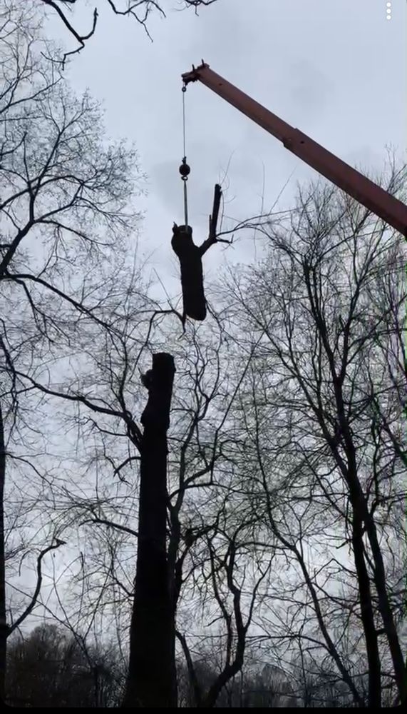 JJ Tree Service