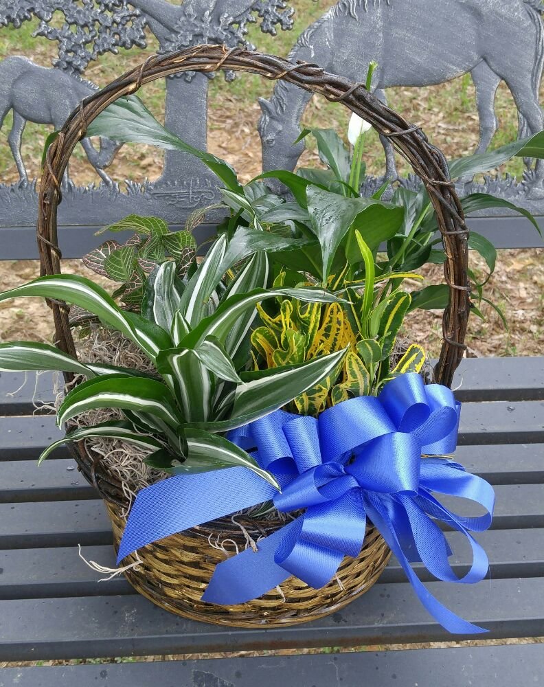Anointed Flowers & Gifts