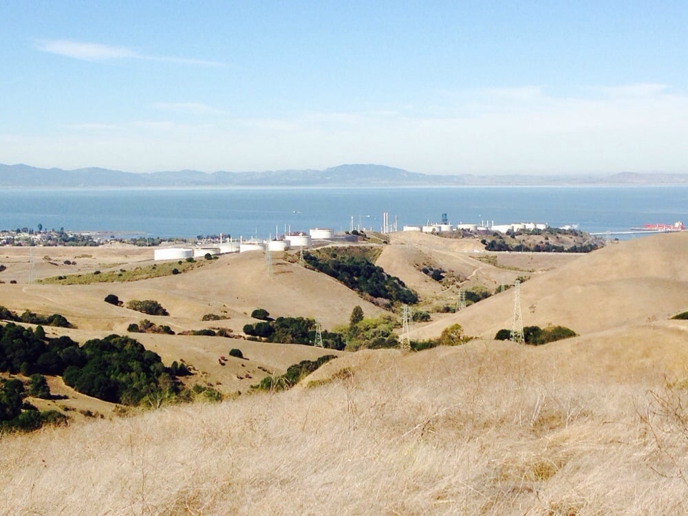 Crockett Hills Regional Park 123 Photos & 22 Reviews Parks