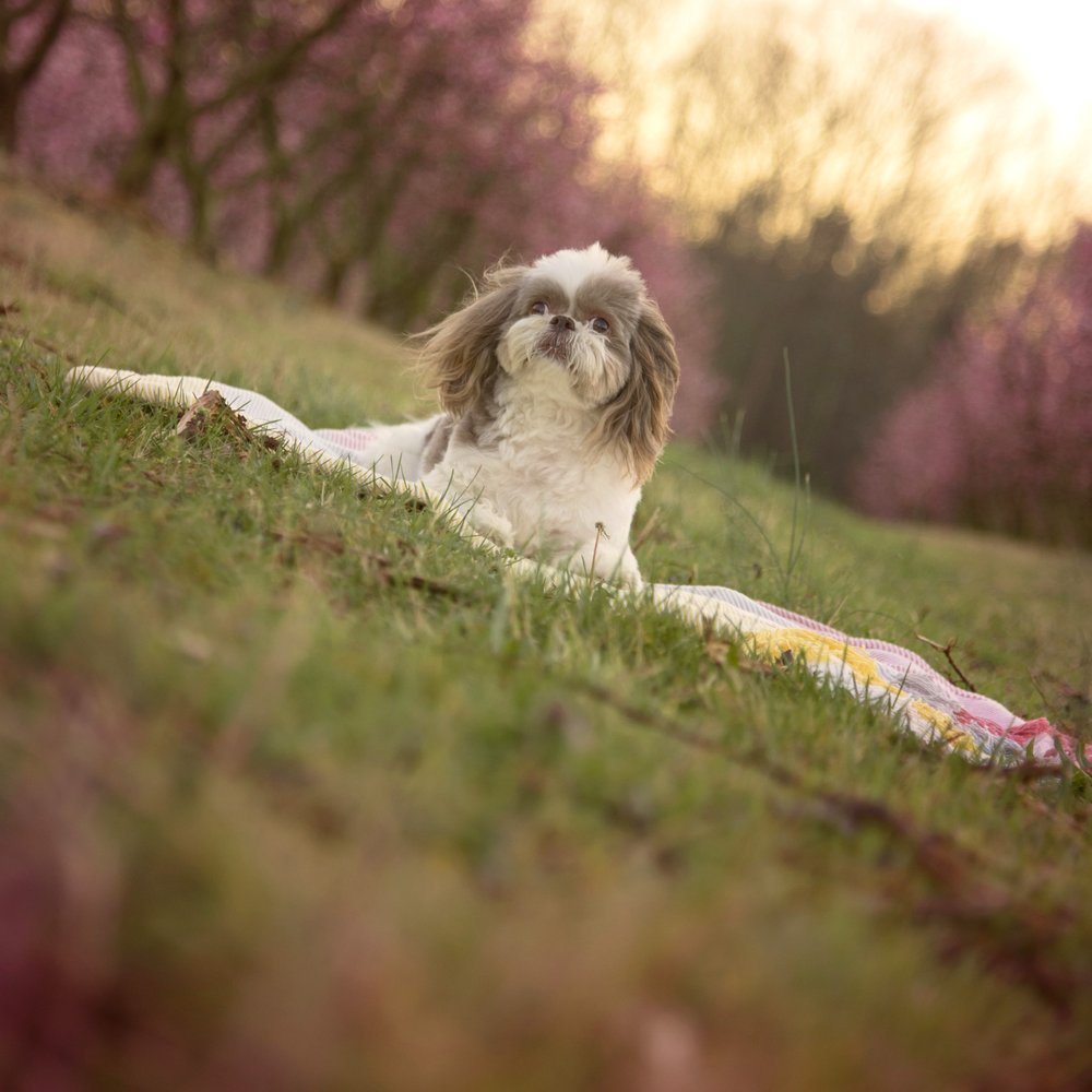 Reflections by Rhiannon