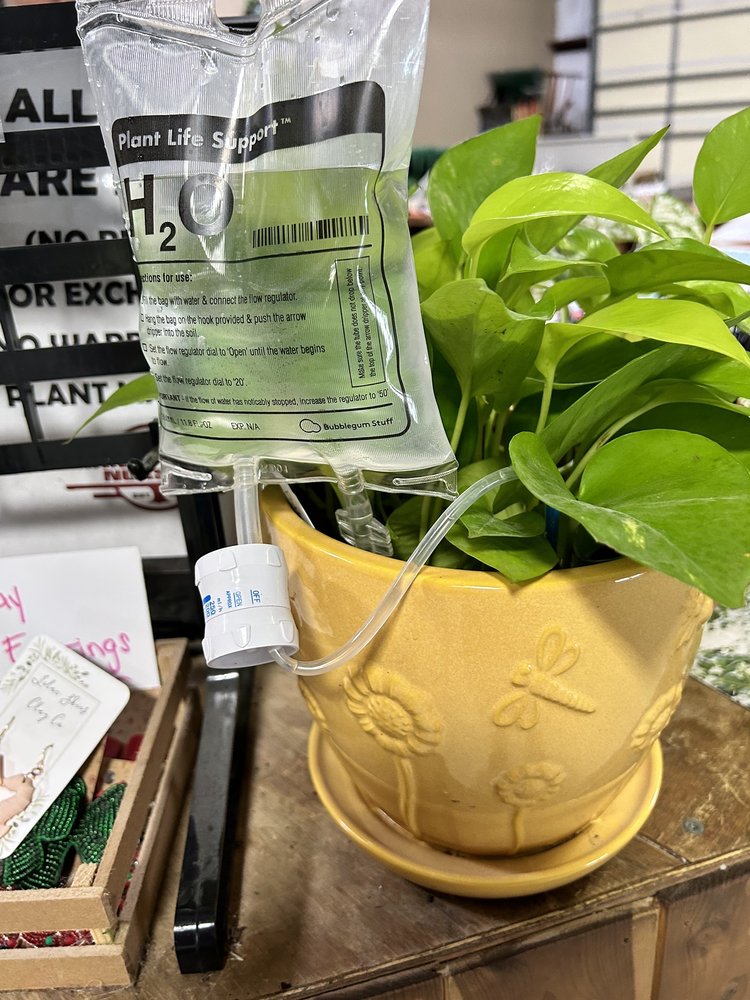 Grant's Creek Nursery