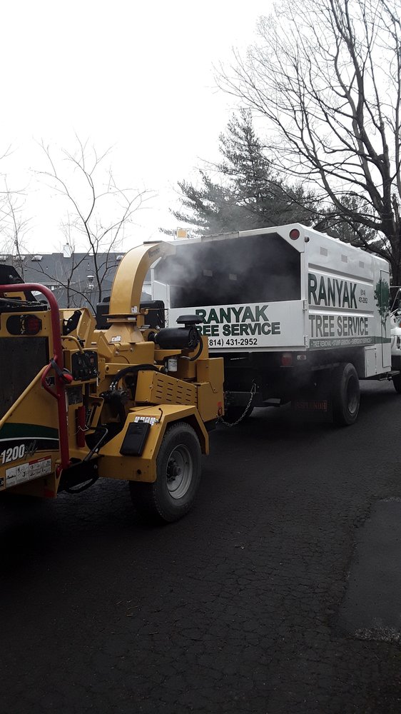 Ranyak Tree Service