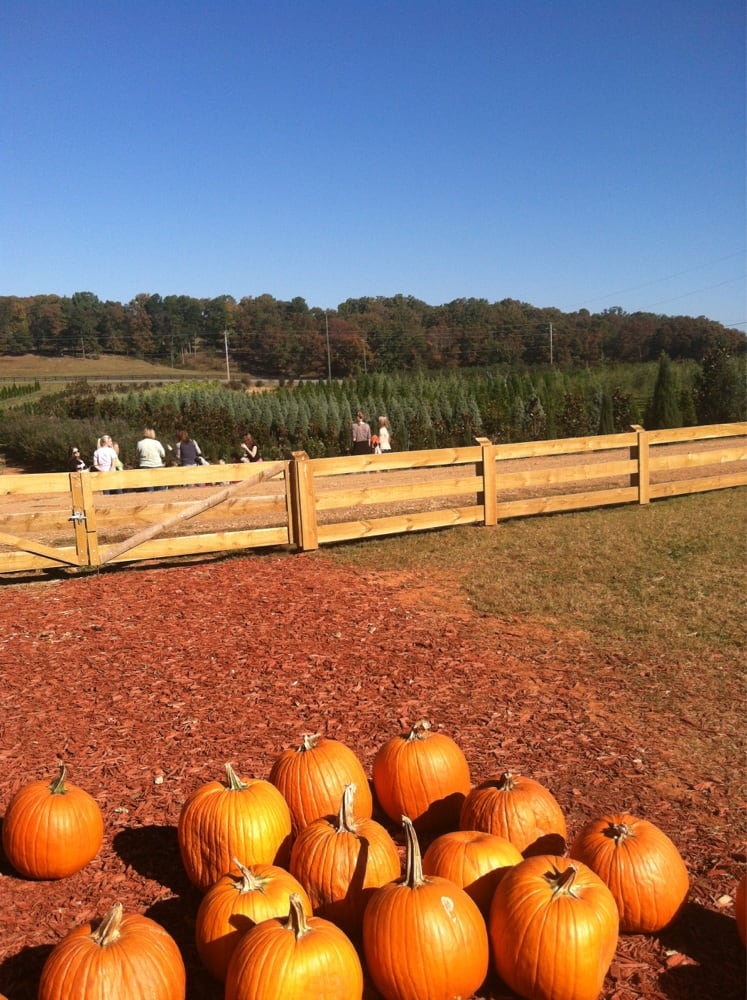 Kinsey Family Farm & Plant Nursery 10 Photos & 14 Reviews Nurseries