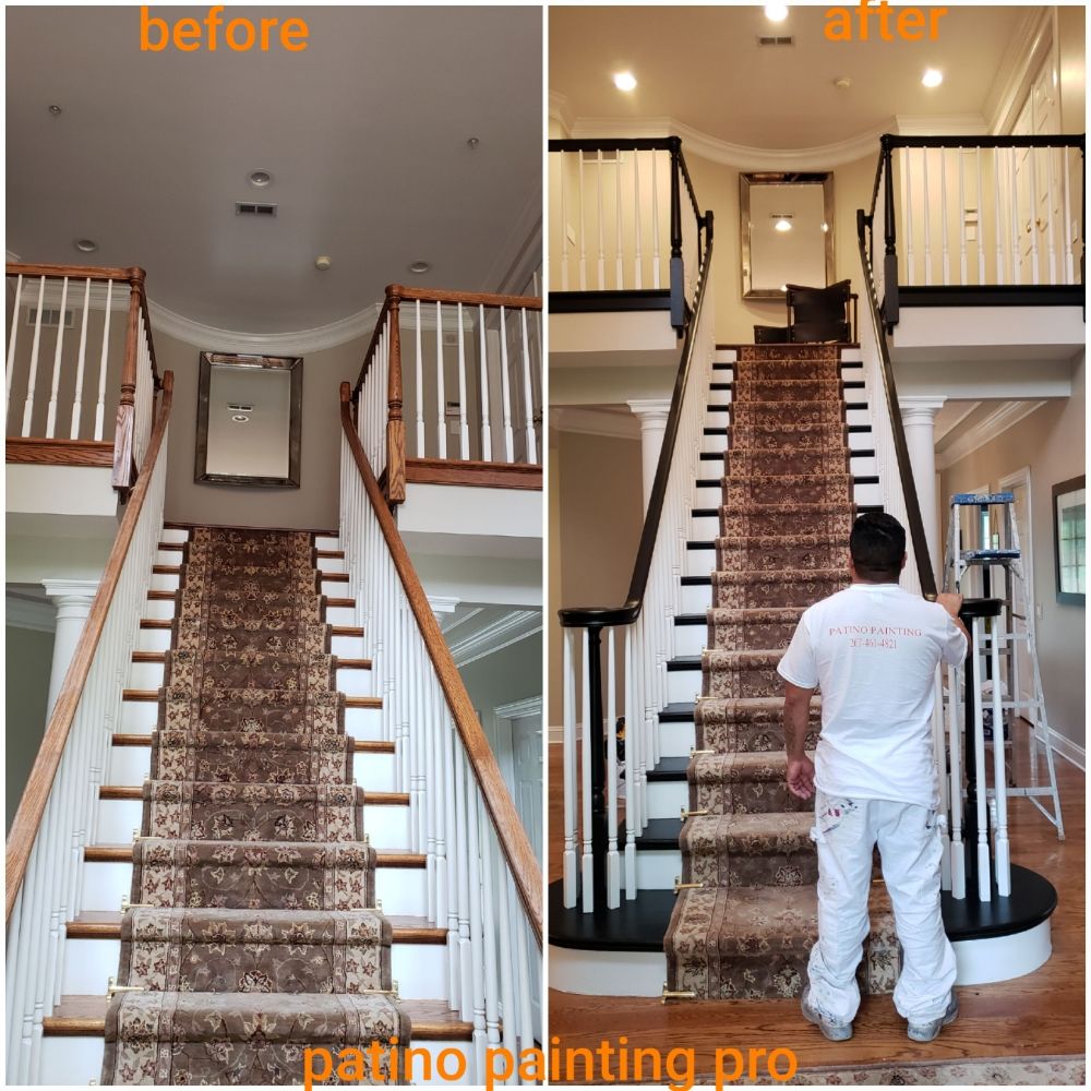Patino Painting pro