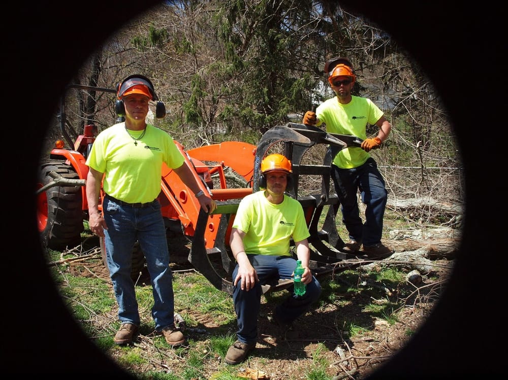 Northeast Tree Service