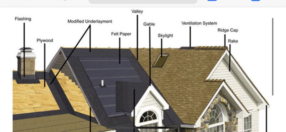 image of business Proline Builders