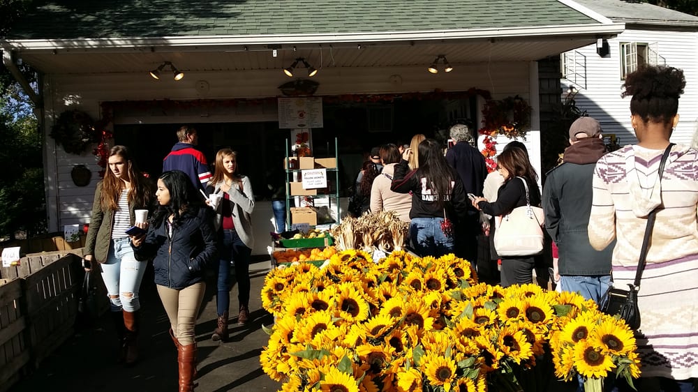 Jericho Cider Mill 83 Photos & 83 Reviews Fruits & Veggies 213