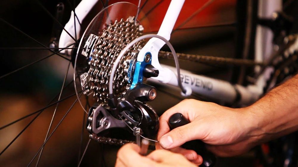 Potenza Cycle & Fitness