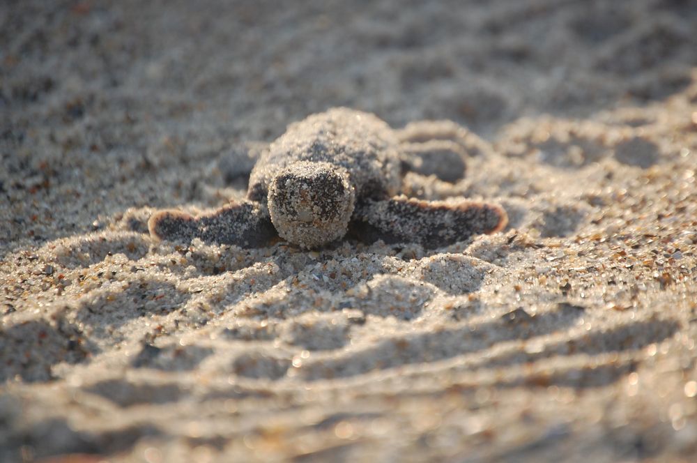 Bluewater Real Estate