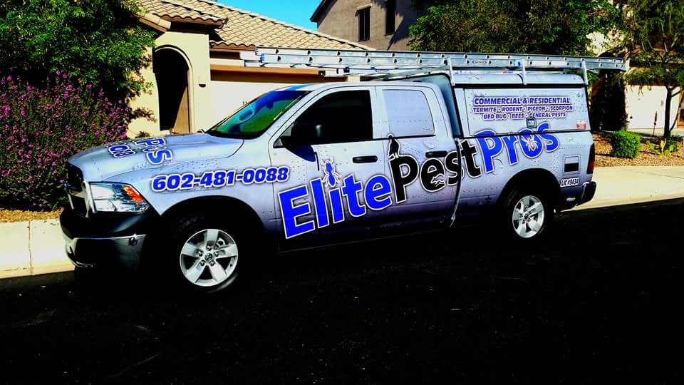 Elite Pest Pros