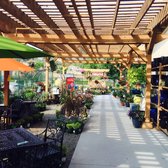 Armstrong Garden Centers 19 Photos 29 Reviews Nurseries Photo Of Armstrong Garden Centers Novato Ca United States