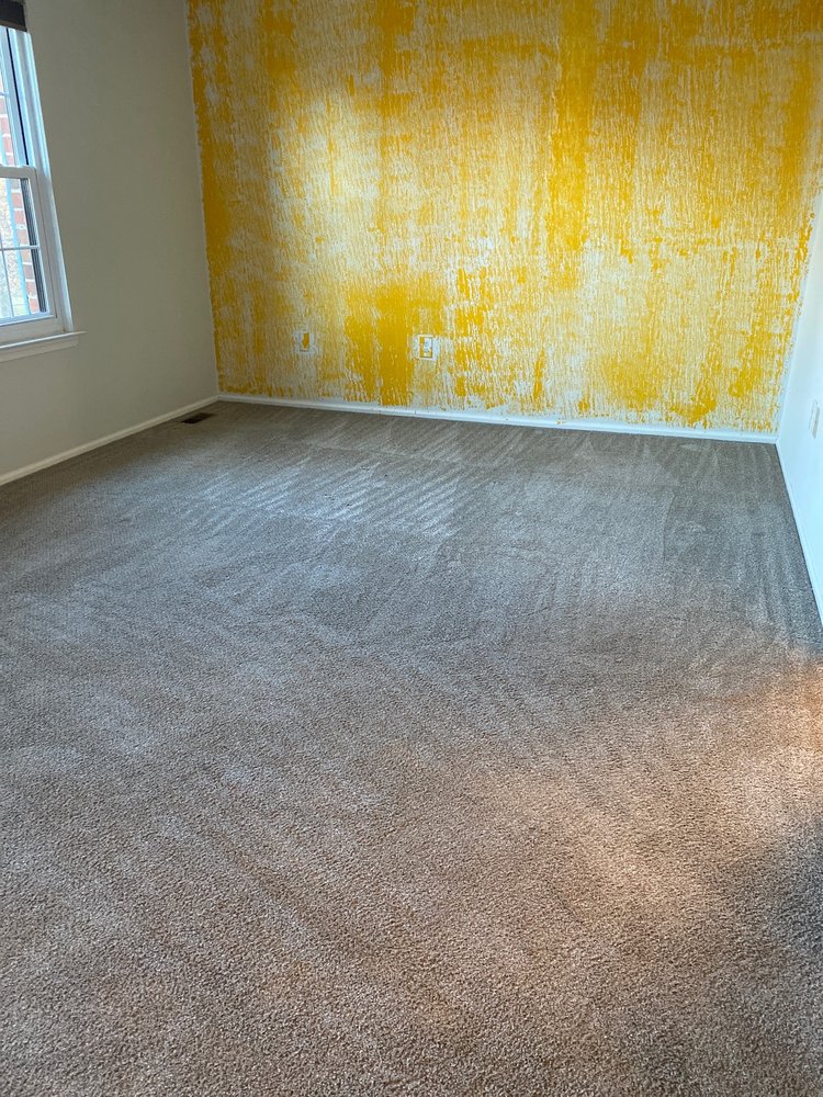 Amer Carpet Cleaners