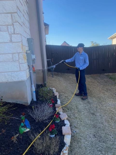 Romex Pest Control