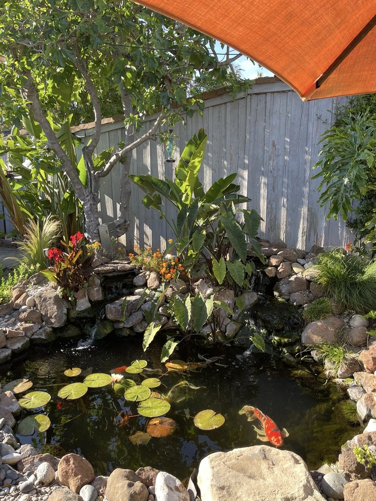 Bay Area Koi Ponds