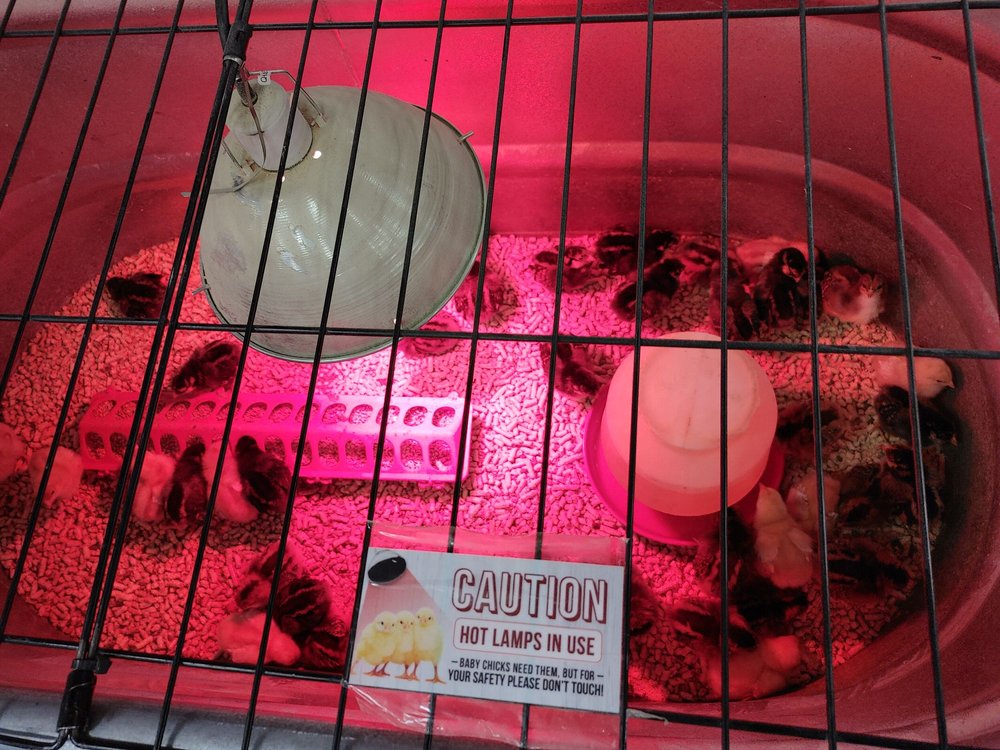 Wilco Farm Store - Vancouver