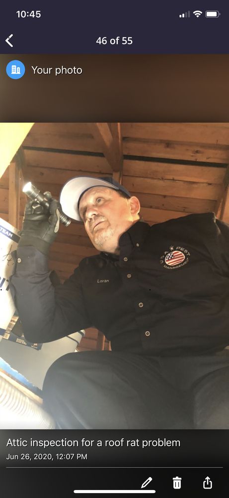 USA Pest Management
