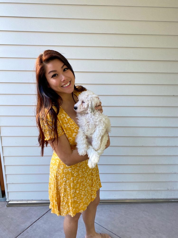 Premier Pups Gift Card Johnstown Oh Giftly