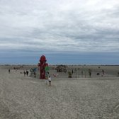 wildwood dog beach 87 photos 20 reviews dog parks e glenwood