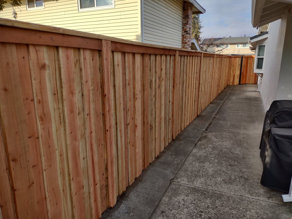 BZB Fencing