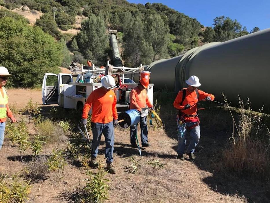 Central Sierra Pest Control
