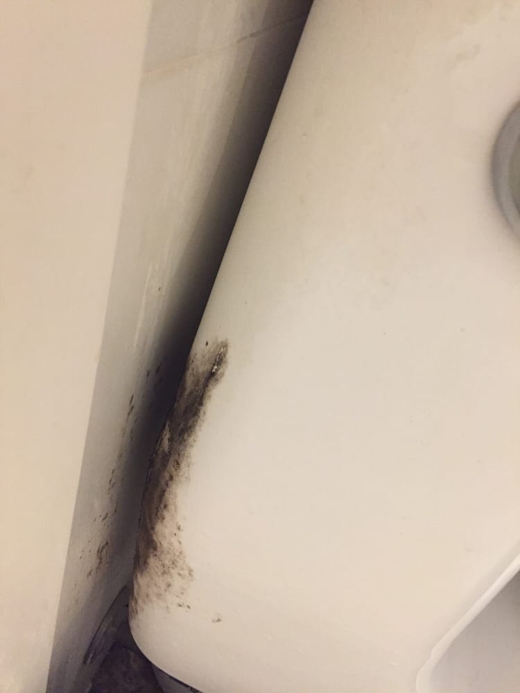 Black mold behind the toilet - Yelp Black mold behind the toilet - Yelp