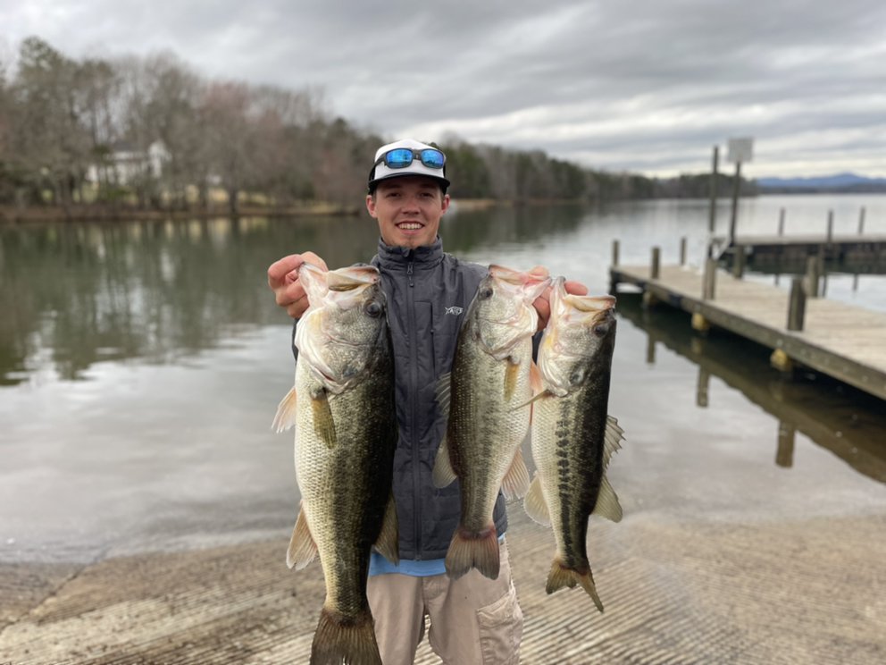 Cole's Baitshop & Kayak Rental