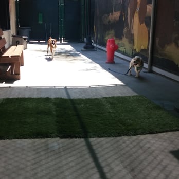 Disneyland Dog Kennel Reviews Disneyland Dog Kennel Reviews