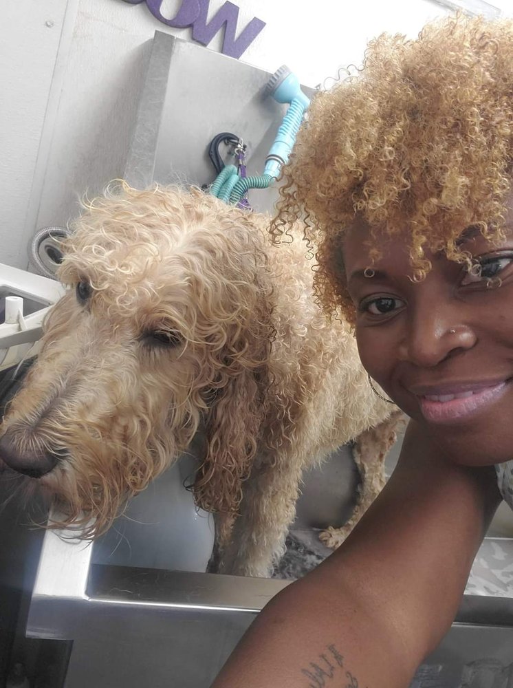 Sparklin' Petz Mobile Grooming Spa