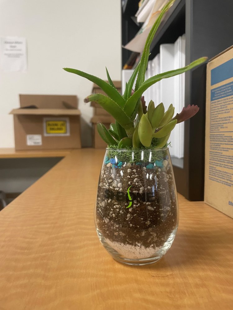 Growing With Brenda