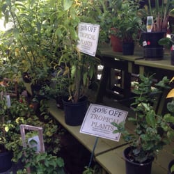 Johnson S Florist Garden Center Closed 61 Reviews Nurseries Photo Of Johnson S Florist Garden Center Washington Dc United States Im