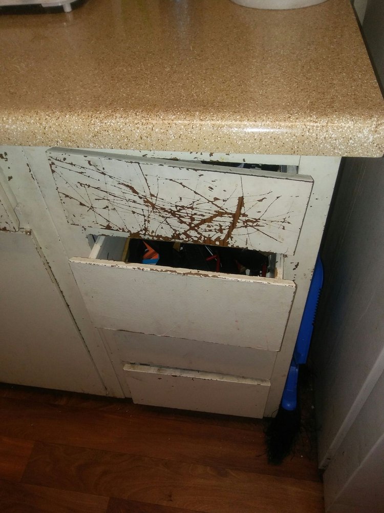 Broken Drawers In The Kitchen From Years Of Neglect Yelp