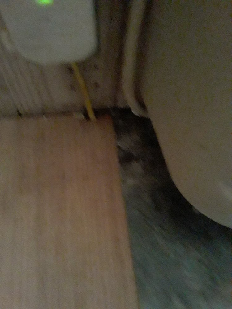 image of business Master City Flooring