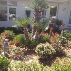 ez out hardscape closed 12 photos irrigation ciudad