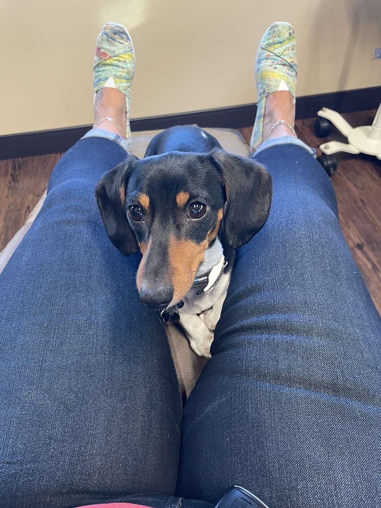 image of business Holly B Sletten, DMD FAGD