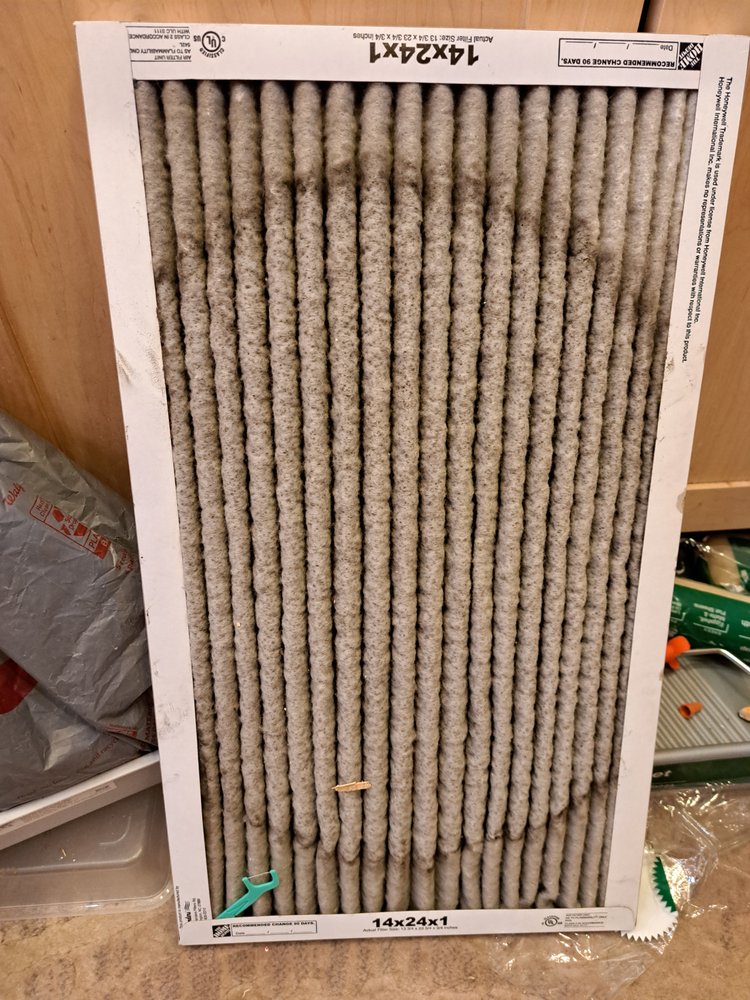 image of business Rudy