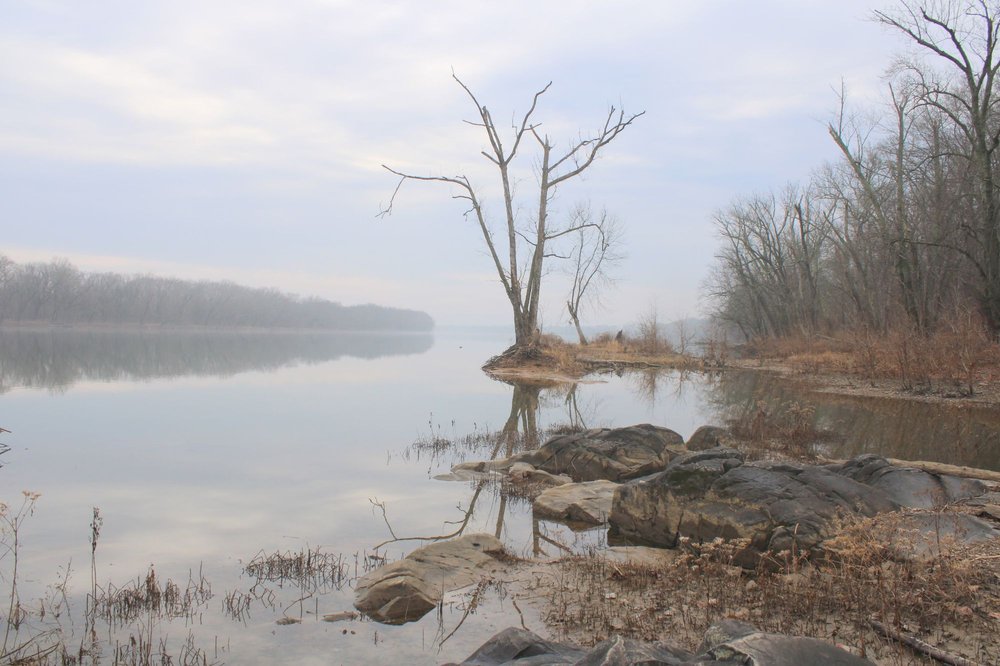 Elizabeth Mills Riverfront Park
