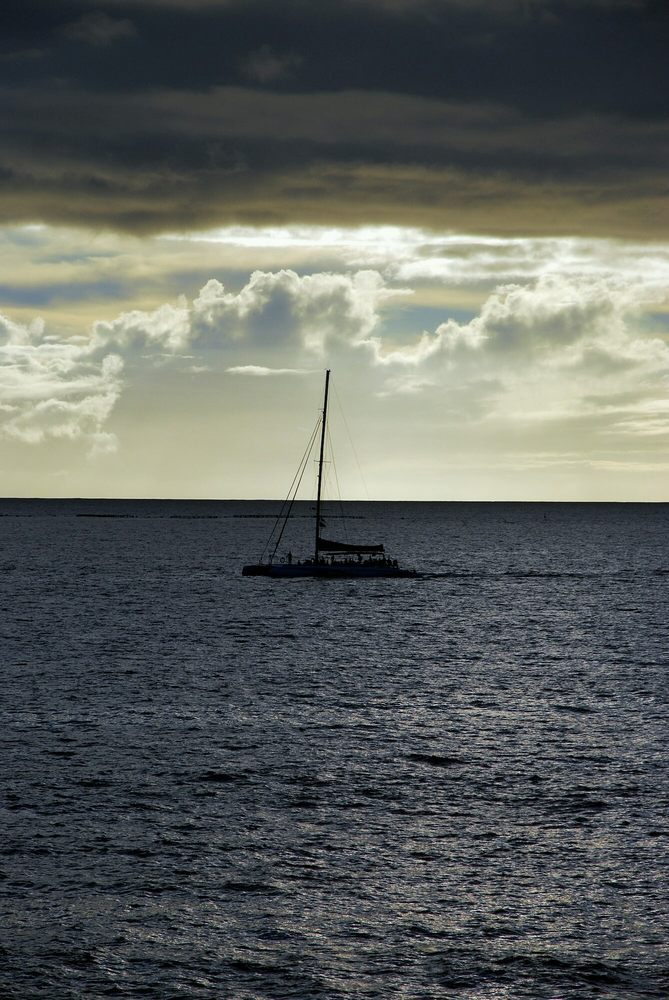 image of business Westside Pediatric Clinic PC