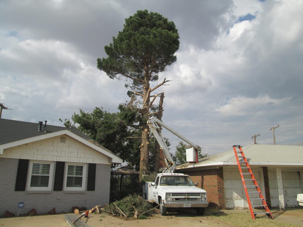 Sam and Co Trees and Landscaping