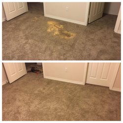 Carpet Care Cleaning Restoration 17 Photos
