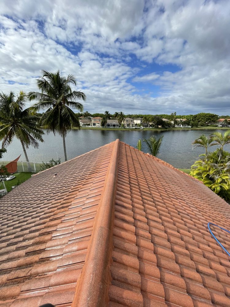 Snapper Soft Wash and Pressure Cleaning
