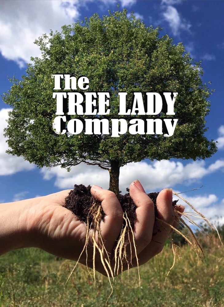 The Tree Lady